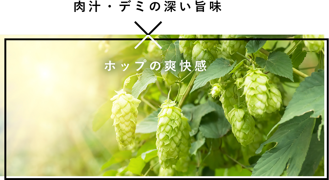 ビール畑の素材